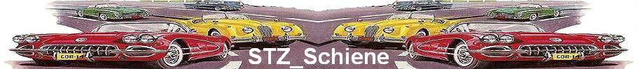 STZ_Schiene